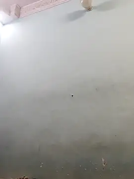 Sania-Love online show from February 2026 09:46:02 PM