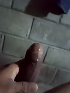 ga213333 online show from January 2026 01:20:01 AM