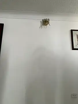 HannaSmiith online show from March 2025 01:27:02 PM