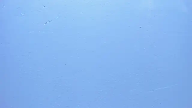 LarryCollin online show from January 2025 02:43:01 AM