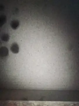 Snapshot of Leocesar37 chatting on September 2025 07:19:01 AM Leocesar37 online show from September 2025 07:19:01 AM