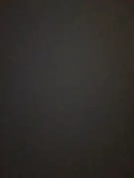 Snapshot of Leocesar37 chatting on October 2025 05:17:02 AM Leocesar37 online show from October 2025 05:17:02 AM