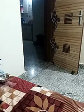 Snapshot of Saroj-Shah chatting on March 2026 06:24:01 PM Saroj-Shah online show from March 2026 06:24:01 PM