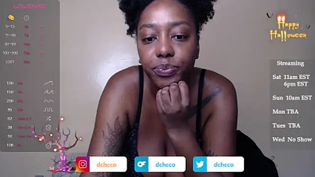 dchcco online show from November 2025 03:03:02 PM