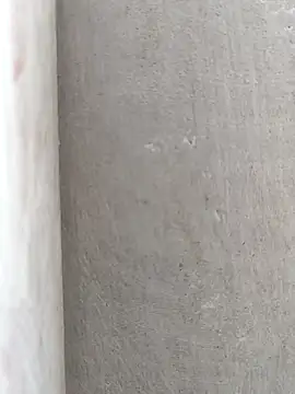 Rj   shan online show from February 2025 07:18:01 AM