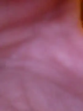 Freddyking146f online show from November 2025 01:42:01 AM