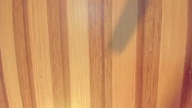 Taylor  cooper online show from December 2025 06:24:02 PM