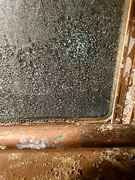 Snapshot of alienbunny chatting on January 2025 05:52:01 AM alienbunny online show from January 2025 05:52:01 AM