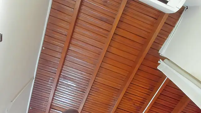 Aleja arango1 online show from March 2025 03:13:02 PM