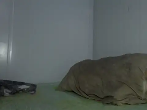 Snapshot of serjdj90 chatting on November 2025 08:03:02 AM serjdj90 online show from November 2025 08:03:02 AM