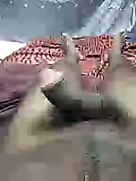 mallucallboy2104 online show from February 2025 10:53:01 PM