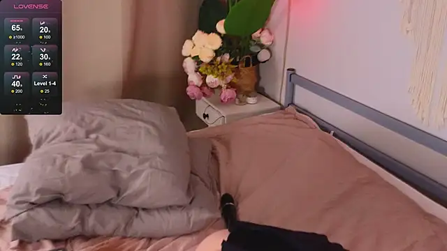 Devilsss toy online show from December 2024 05:26:01 PM