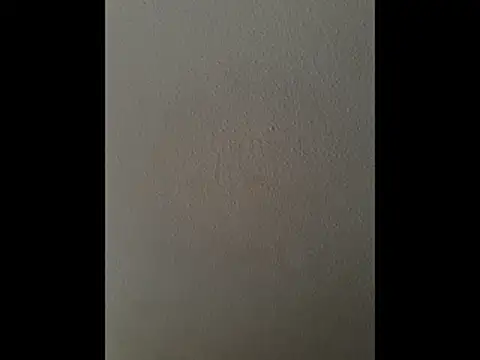 cretanbi online show from November 2025 12:48:01 PM