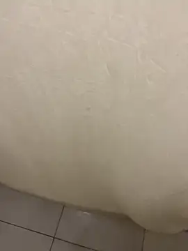 Snapshot of mjnas chatting on December 2024 12:52:01 AM mjnas online show from December 2024 12:52:01 AM