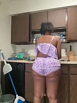 Snapshot of briakash chatting on March 2026 01:51:01 PM briakash online show from March 2026 01:51:01 PM