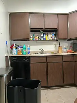 Snapshot of briakash chatting on March 2026 04:05:02 AM briakash online show from March 2026 04:05:02 AM