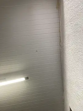 luara1988 online show from October 2025 10:58:02 AM