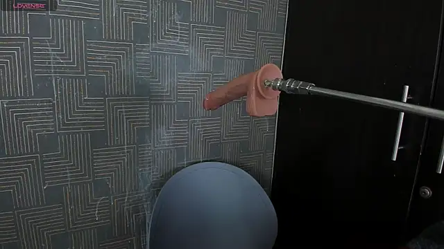 grace-3 online show from November 2025 03:42:02 AM