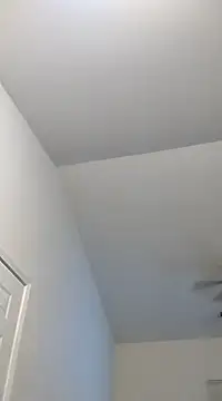 Playmate86 online show from December 2024 05:37:01 AM