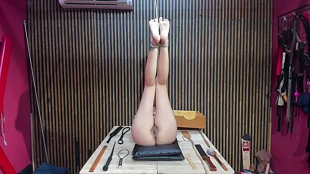 Snapshot of BDSM_Vantablack_ chatting on February 2026 06:26:01 AM BDSM Vantablack online show from February 2026 06:26:01 AM