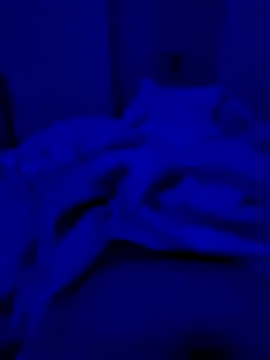 Snapshot of hardyloves chatting on March 2025 06:23:02 PM hardyloves online show from March 2025 06:23:02 PM