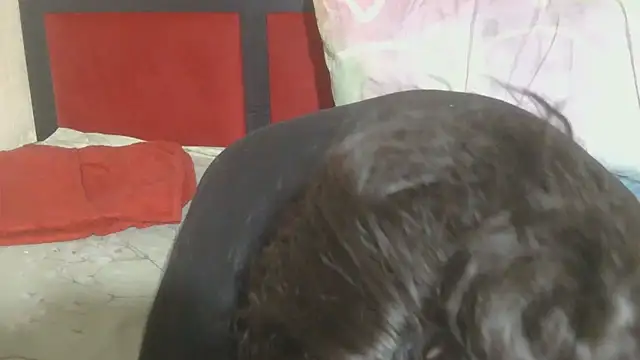 MaximTease24 online show from June 2026 10:41:02 PM