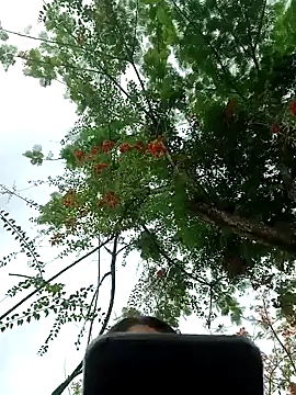 Karol-kamila19 online show from December 2024 09:01:01 PM