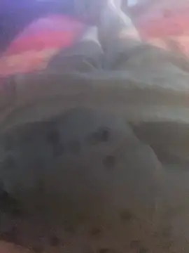 Snapshot of solomec chatting on September 2025 06:39:01 AM solomec online show from September 2025 06:39:01 AM