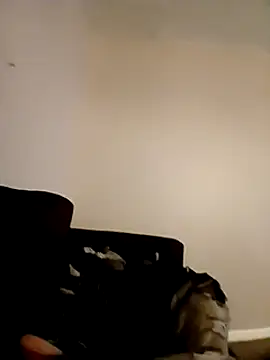 Snapshot of willywonka7793 chatting on December 2024 05:33:01 PM willywonka7793 online show from December 2024 05:33:01 PM