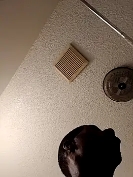 Snapshot of willywonka7793 chatting on March 2025 04:56:02 PM willywonka7793 online show from March 2025 04:56:02 PM