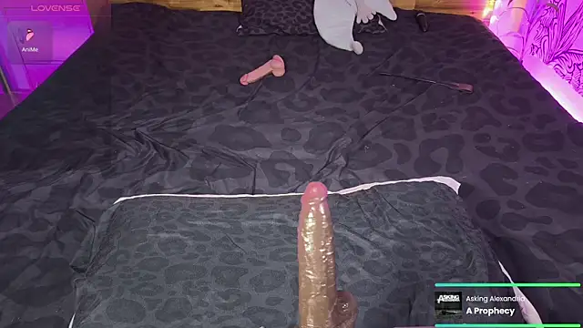 kellycakemeow online show from June 2026 05:21:01 AM