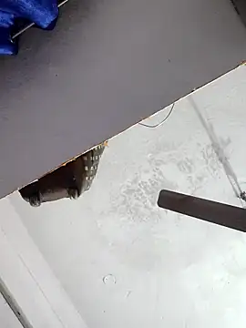 sana14 online show from December 2025 10:49:02 PM