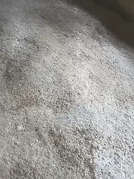 Snapshot of SisterlyFarmhand chatting on October 2025 10:58:02 AM SisterlyFarmhand online show from October 2025 10:58:02 AM