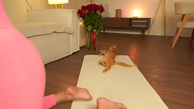 Snapshot of Peopleneedlove144 chatting on October 2025 03:08:02 PM Peopleneedlove144 online show from October 2025 03:08:02 PM