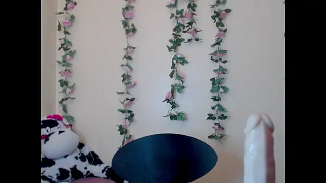 Saloome- online show from June 2026 07:05:01 PM