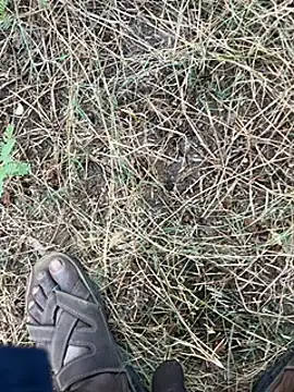 tamil000000 online show from March 2025 01:37:01 AM