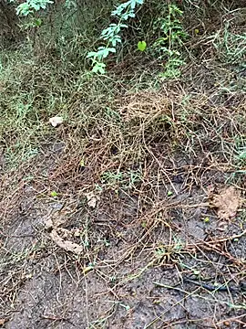 tamil000000 online show from March 2025 01:43:01 AM