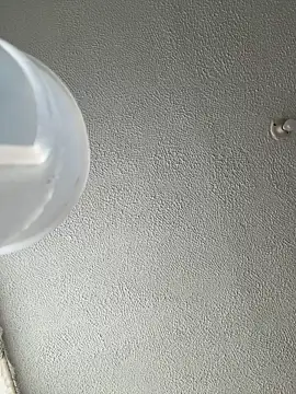 ariiel  online show from January 2026 03:28:02 PM