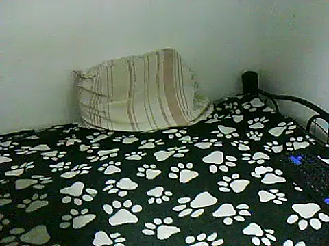 dani07- online show from January 2025 01:53:01 AM