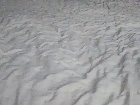 Tigerek i m online show from January 2026 07:25:02 AM