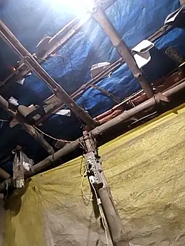 Snapshot of Gyan88 chatting on March 2026 04:11:02 PM Gyan88 online show from March 2026 04:11:02 PM