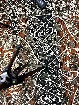 poision51 online show from January 2026 04:31:02 PM