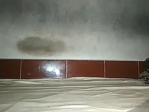 Snapshot of alansteer chatting on October 2025 08:15:02 AM alansteer online show from October 2025 08:15:02 AM