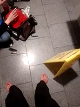 subaru8291 online show from October 2025 11:55:01 AM