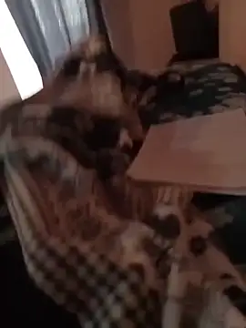 Snapshot of MrTamburine22 chatting on February 2026 01:44:01 PM MrTamburine22 online show from February 2026 01:44:01 PM