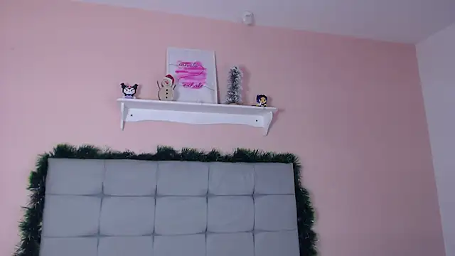 Snapshot of dholcee chatting on January 2026 03:15:01 PM dholcee online show from January 2026 03:15:01 PM