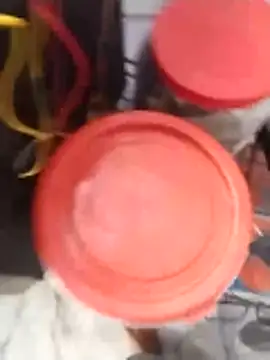 PracticalGum40 online show from February 2026 02:54:02 AM