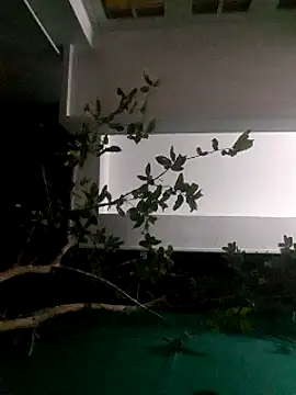 Snapshot of Jhon837486 chatting on December 2024 02:21:01 PM Jhon837486 online show from December 2024 02:21:01 PM