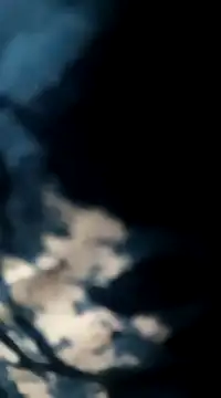 Sneha gril online show from February 2025 05:39:01 PM