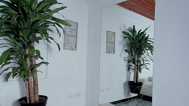 Meli Meli online show from February 2025 04:09:02 AM